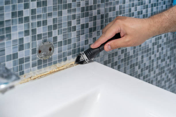 Best Residential Mold Remediation in Moenkopi, AZ